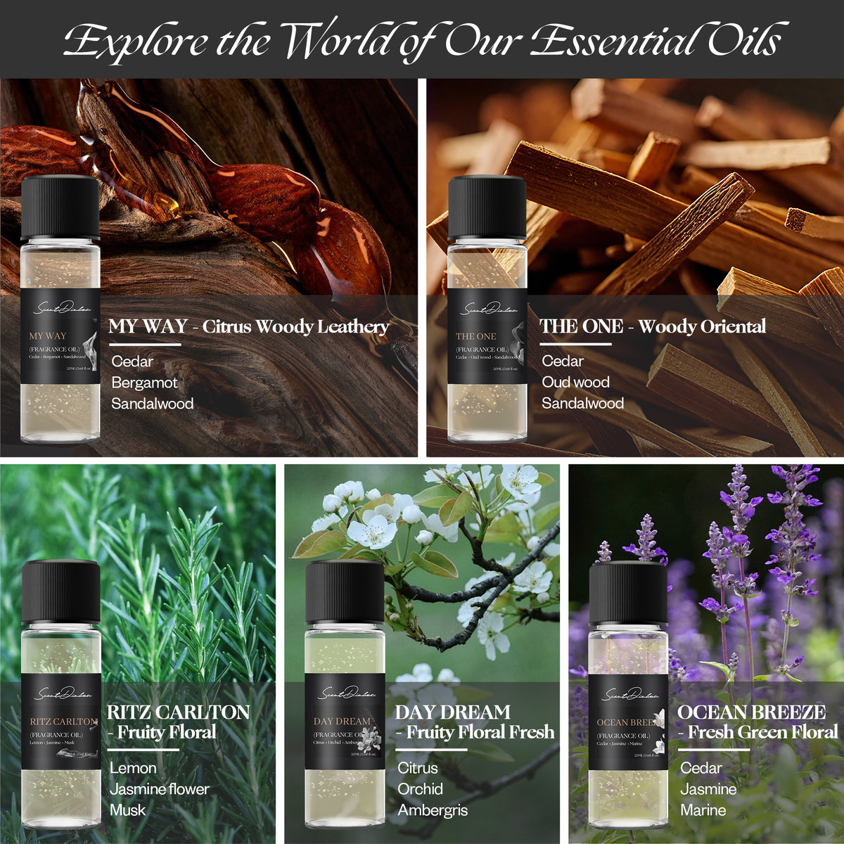Scent Dinbor MY WAY fragrance oil 500ml (16.9 fl oz) with black packaging — cedar, bergamot and sandalwood, grounding warm timeless